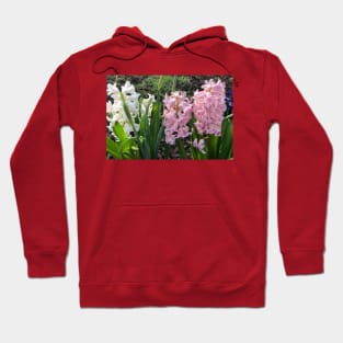 Spring bulbs in flower Hoodie